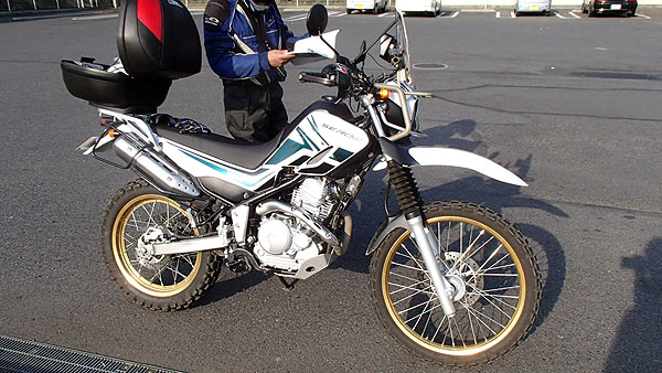 白ヤギさんのセロー